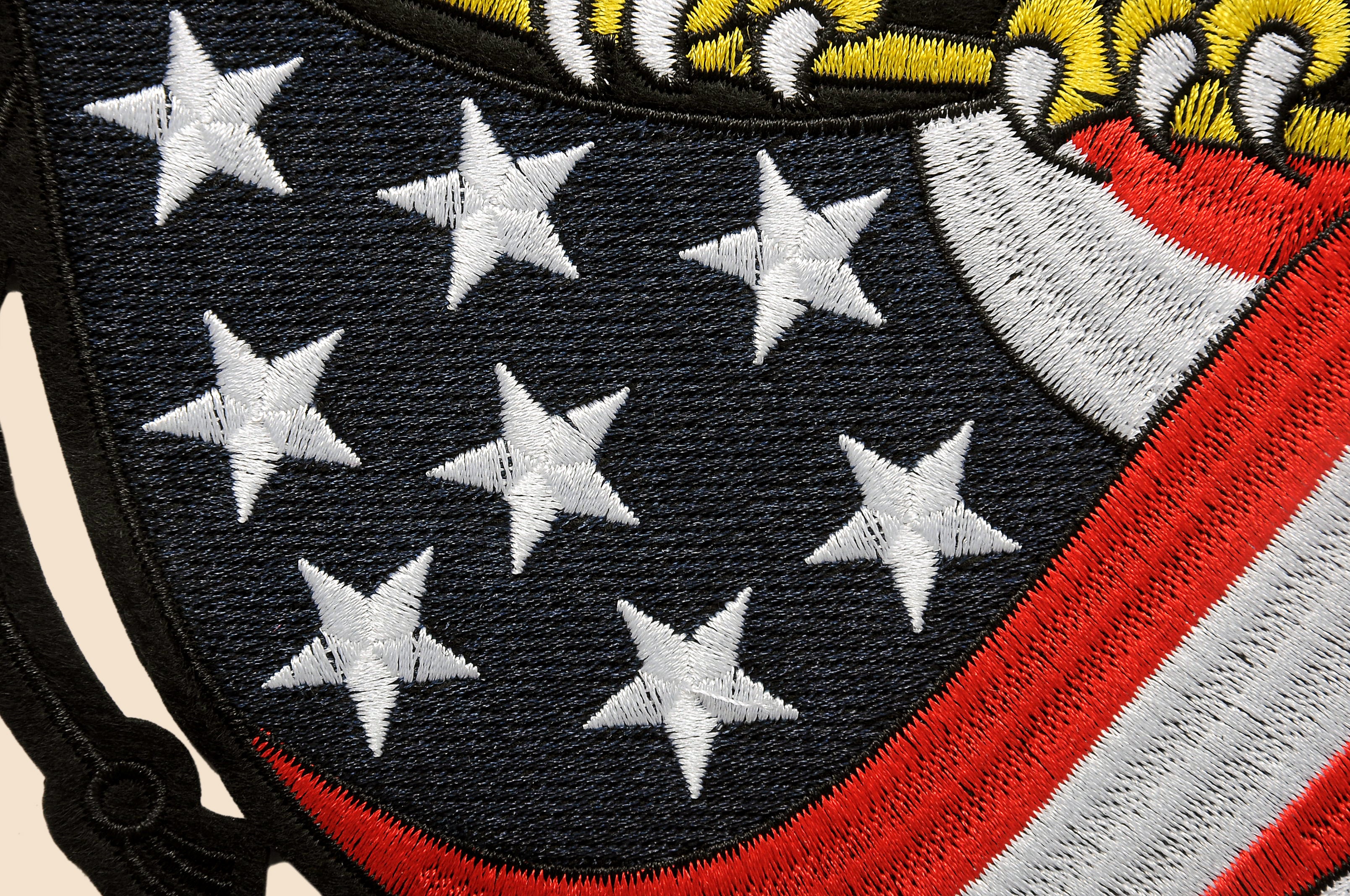 Eagle on USA Flag