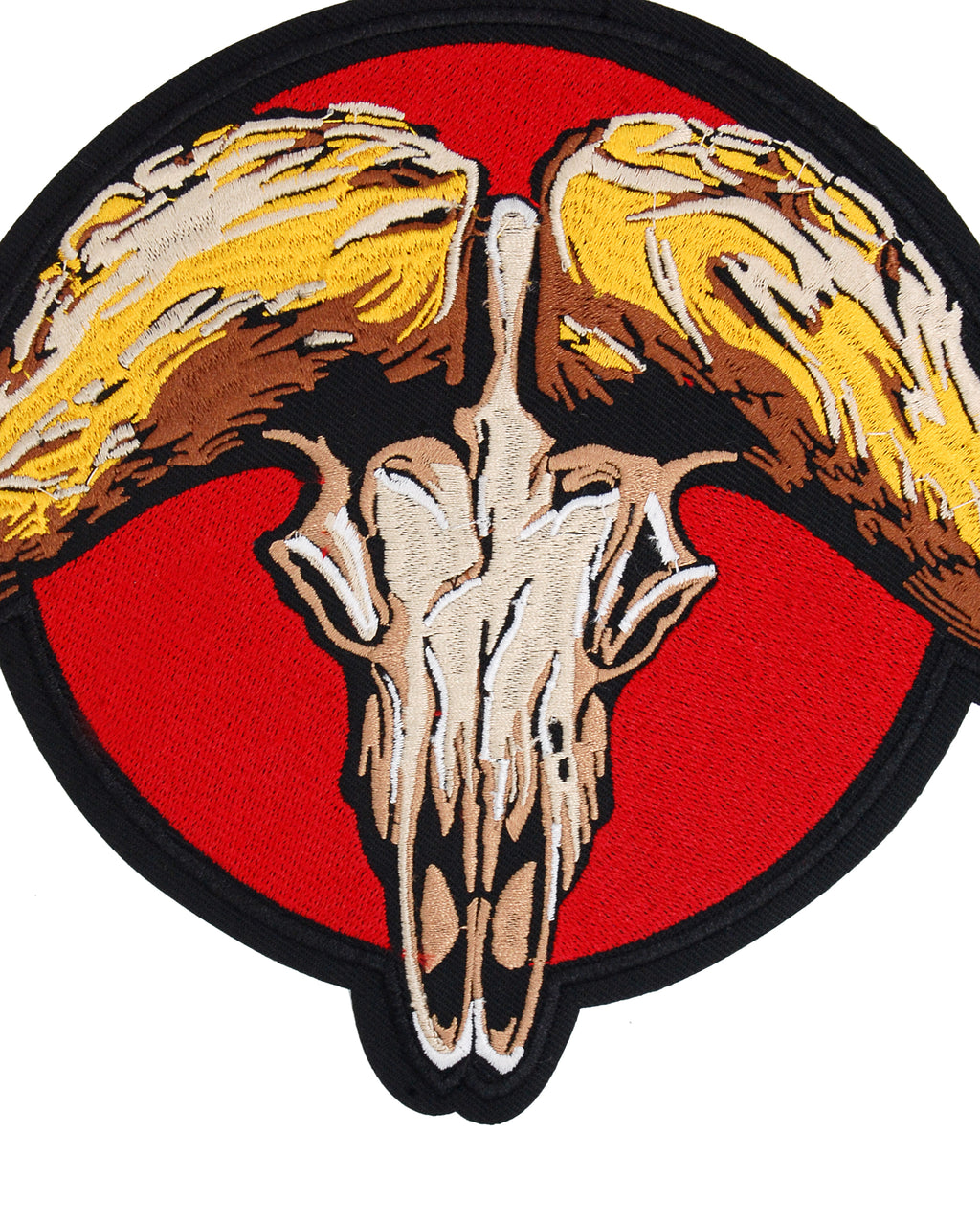 Big Bull Horns