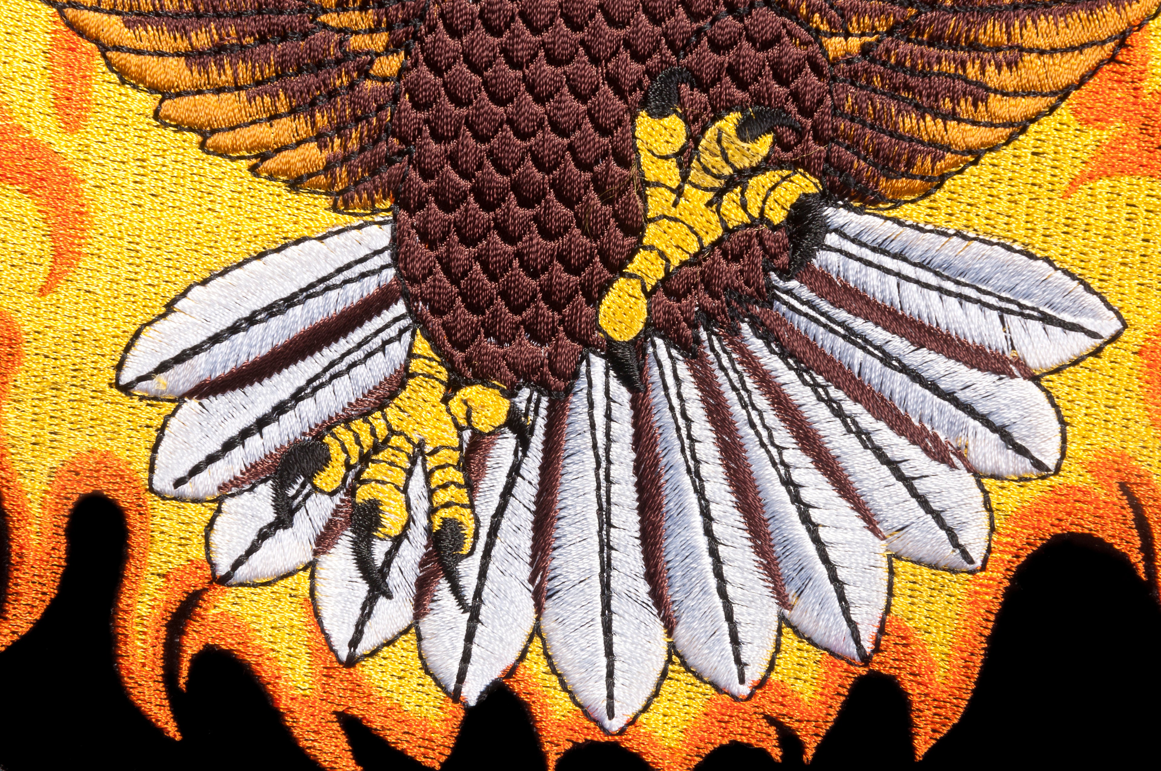 Flying Eagle on Fire