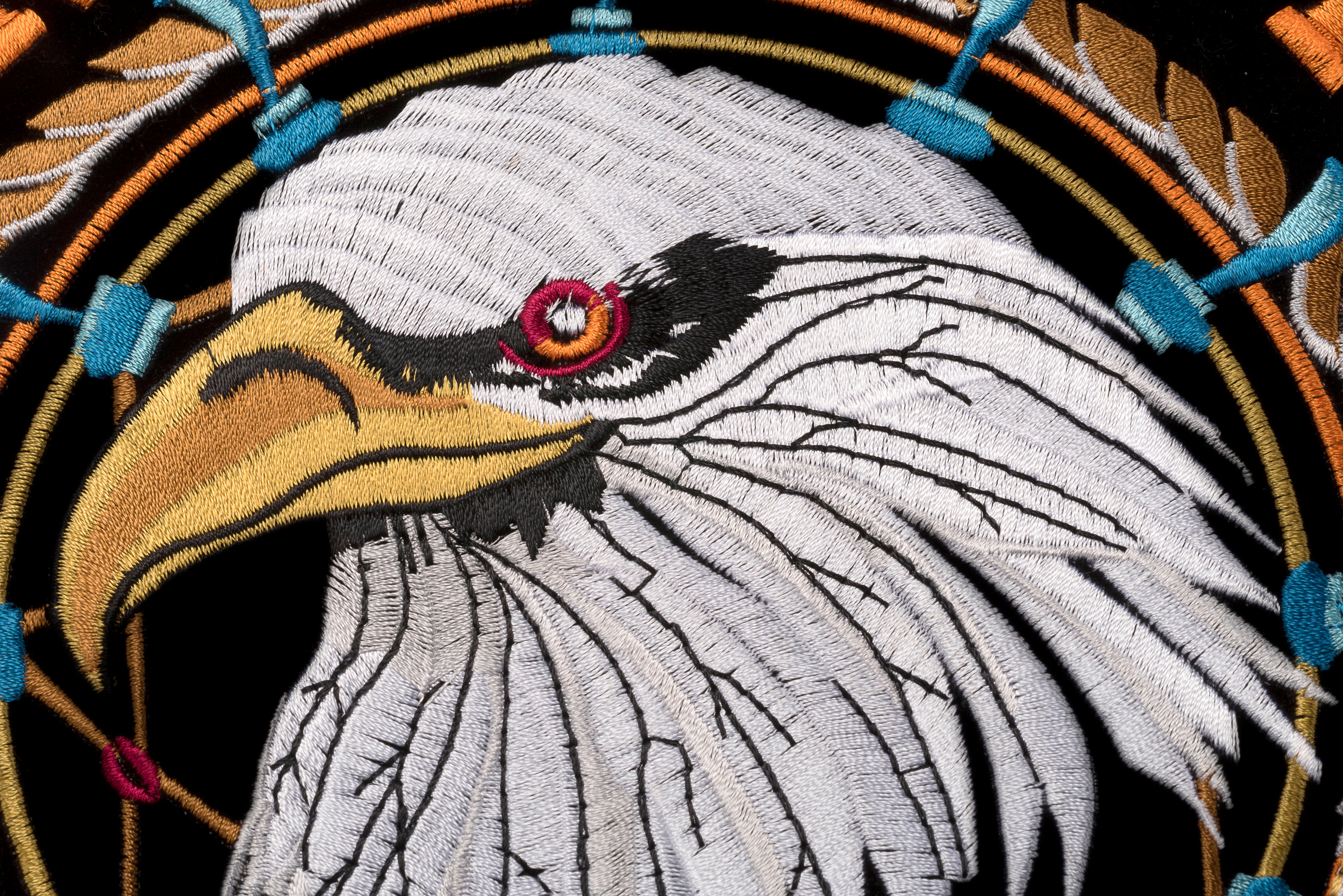 Born to Be Free Eagle