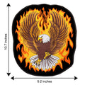 Flying Eagle on Fire