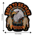 Born to Be Free Eagle