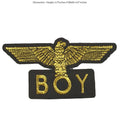 Air Force Golden Eagle Boy